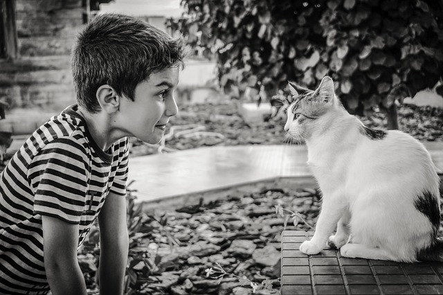 boy-2886169_640